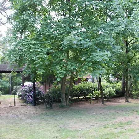 Holiday home Am Waldesrand