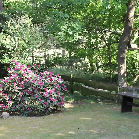 Holiday home Am Waldesrand Hatten