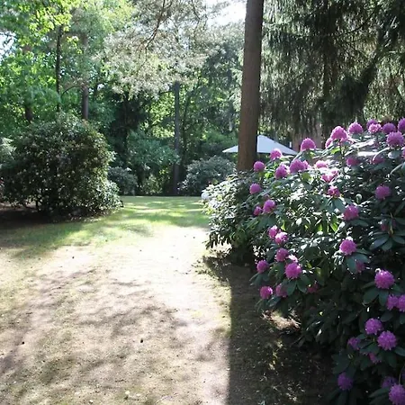 Am Waldesrand Hatten