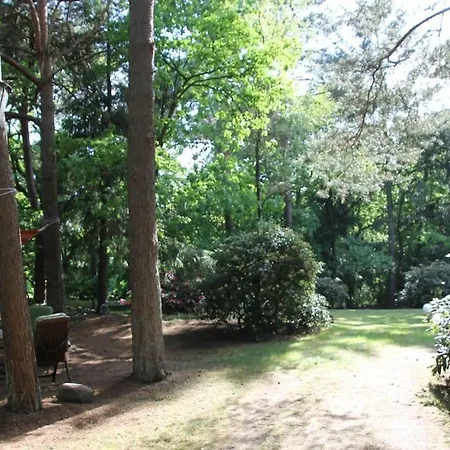 Am Waldesrand Semesterbostad *