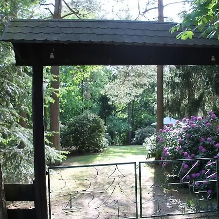 Am Waldesrand * Hatten